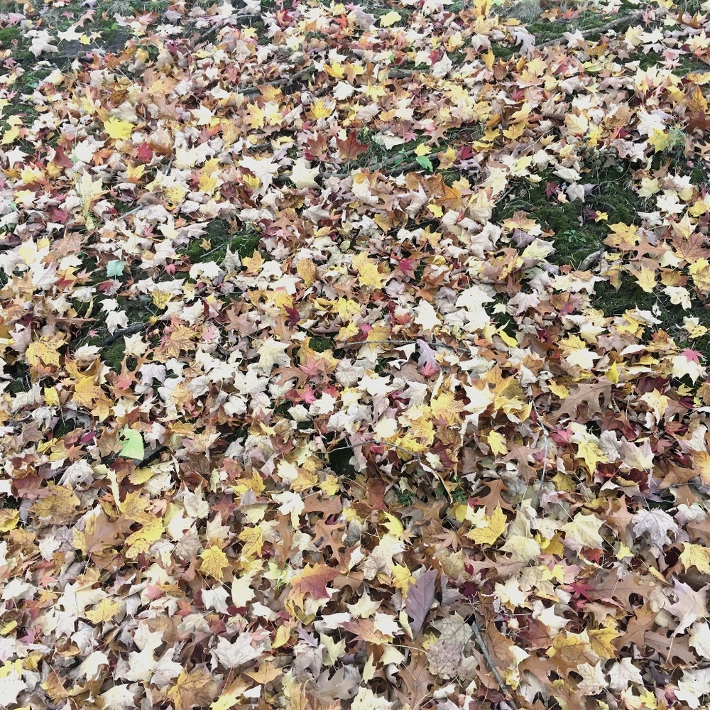 Meet your Posher, Kait